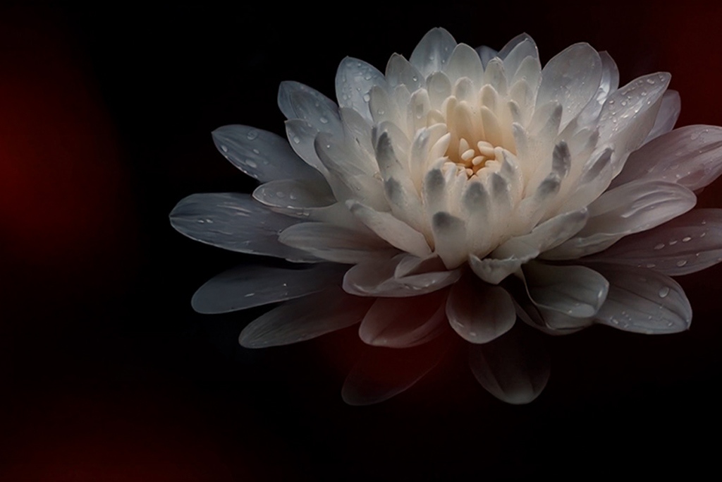 pop up nuova rubrica