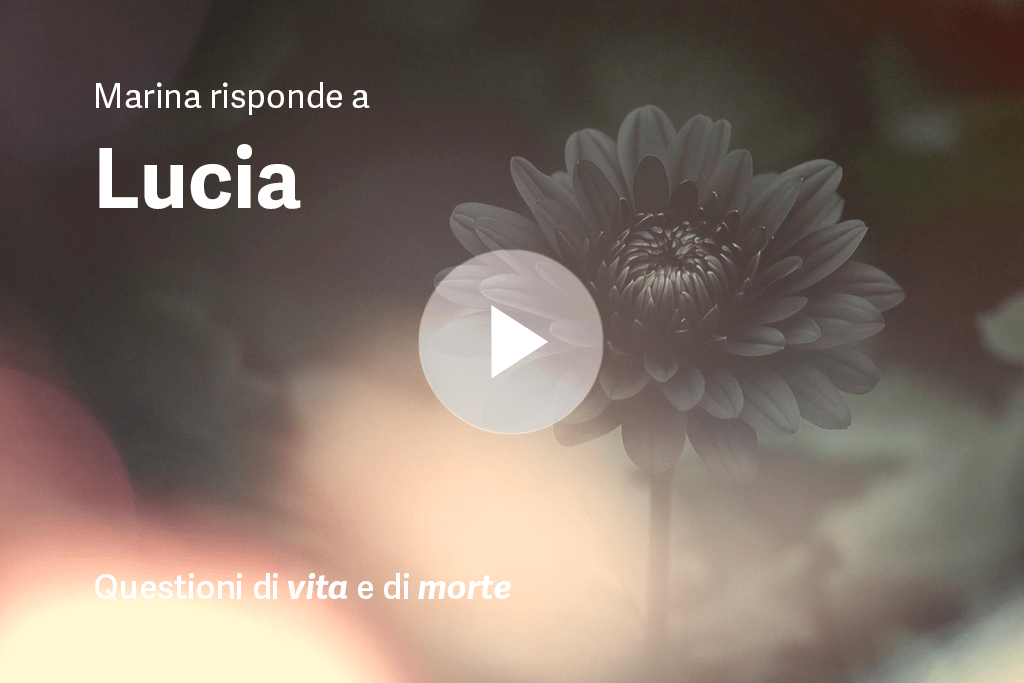 preview video lucia