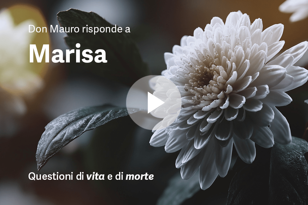 preview video marisa