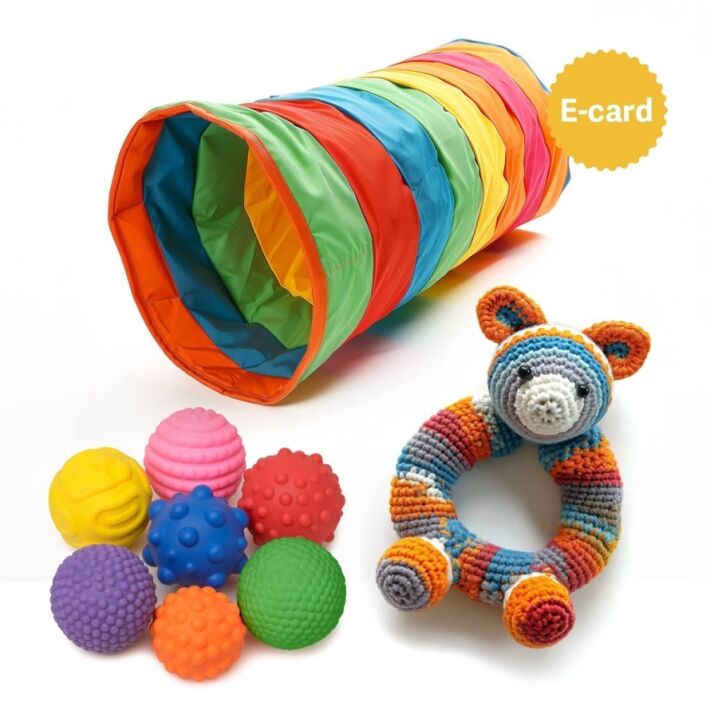 100-001 donazione giochi ruharo