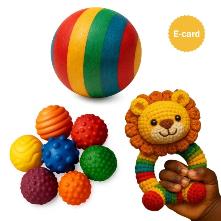 100-001 donazione giochi ruharo