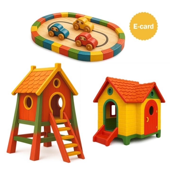 100-004 donazione per giochi per il ruharo