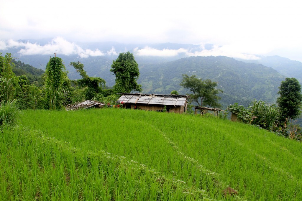 la casa di sudip immersa nel verde