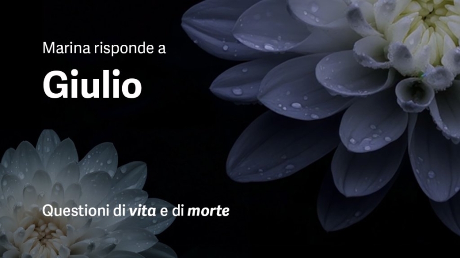 preview risposta a Giulio