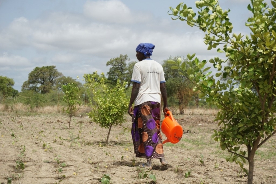 donna in un orto in Niger